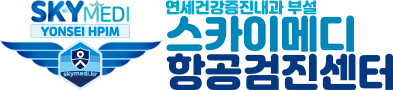 스카이메디 항공검진센터