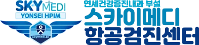 스카이메디 항공검진센터