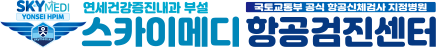 스카이메디 항공검진센터