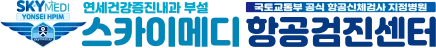 스카이메디 항공검진센터
