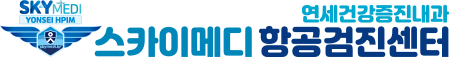 스카이메디 항공검진센터