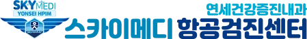 스카이메디 항공검진센터