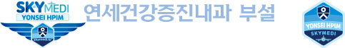 스카이메디 항공검진센터