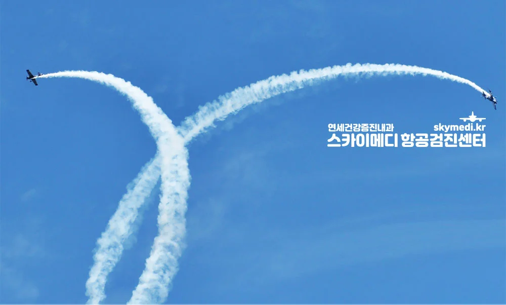 스카이메디