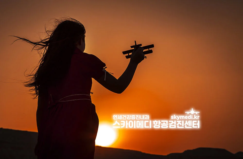 스카이메디 항공신체검사