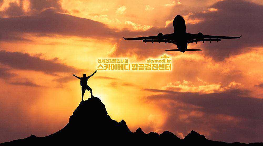 스카이메디 항공검진센터